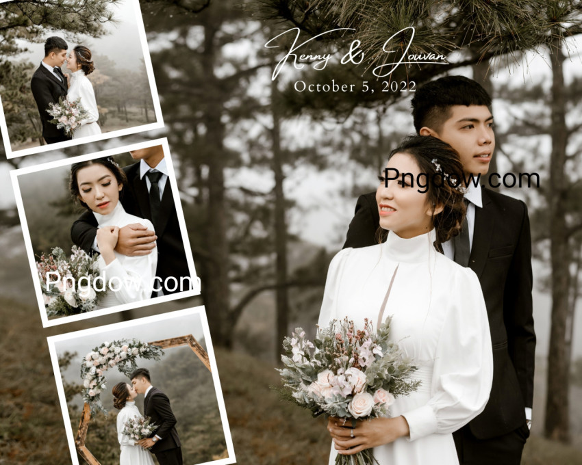 White Carousel Wedding Photo Collage for Free