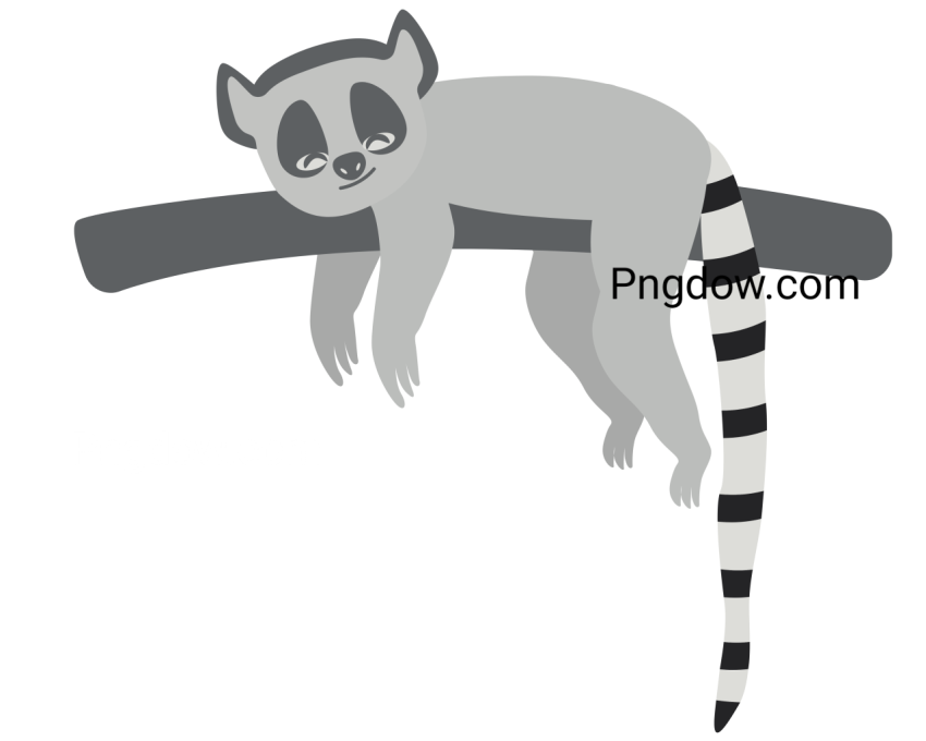 Lemur Illustration, transparent Background for free, (3)