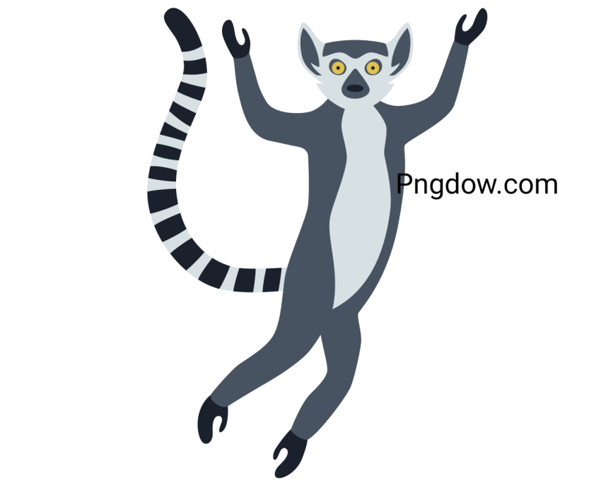 Lemur Illustration, transparent Background for free, (4)