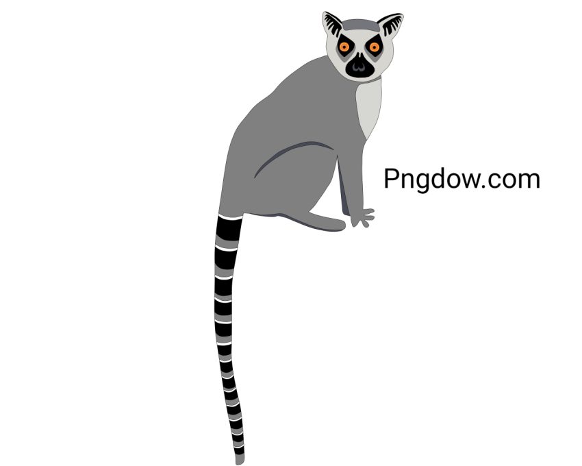 Lemur Illustration, transparent Background for free, (11)