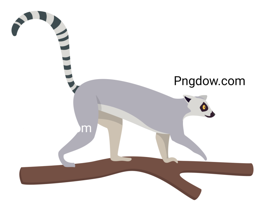 Lemur Illustration, transparent Background for free, (5)