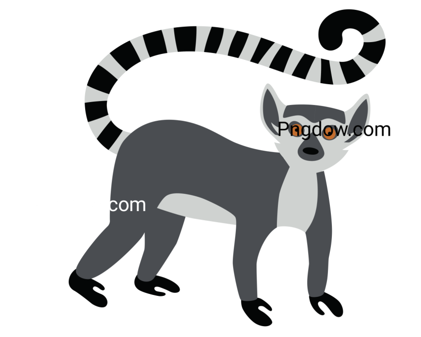 Ring Tailed Lemur Cartoon Style Illustration