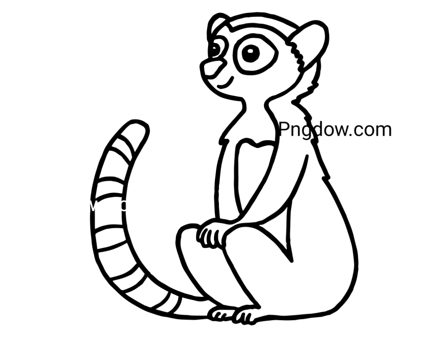 Lemur Illustration, transparent Background for free, (9)