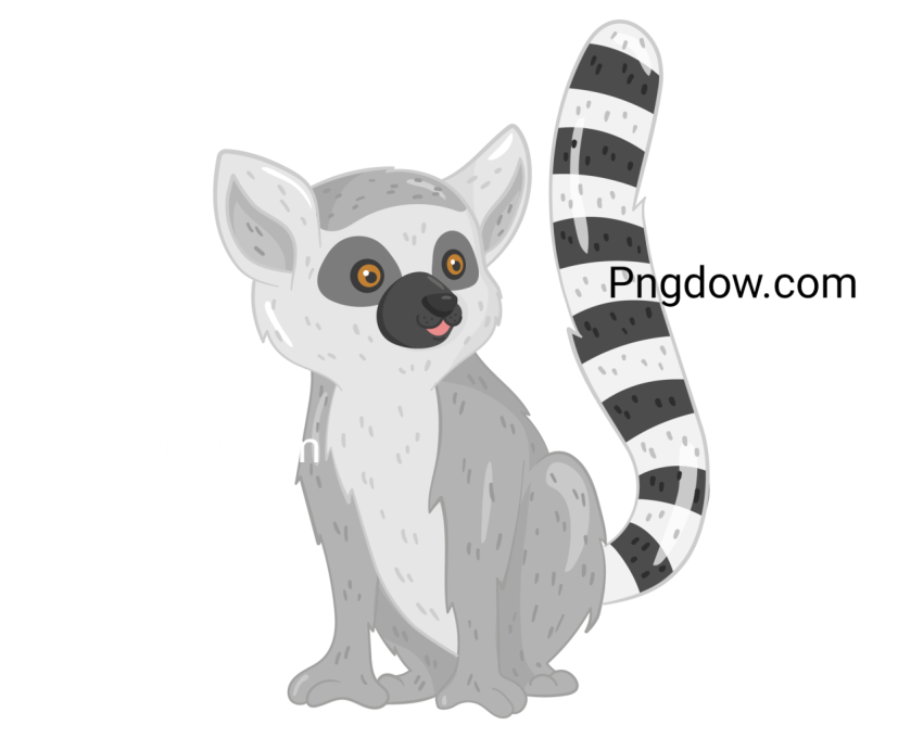 Lemur Illustration, transparent Background for free, (10)