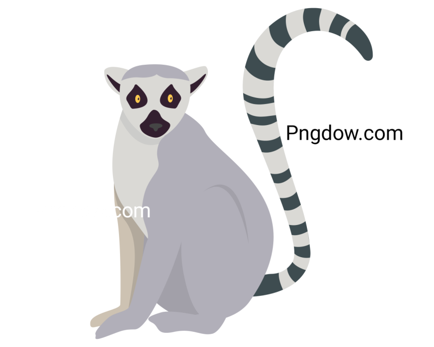 Lemur Illustration, transparent Background for free, (14)