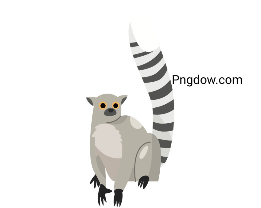 Cute Zoo Animal Lemur, transparent Background