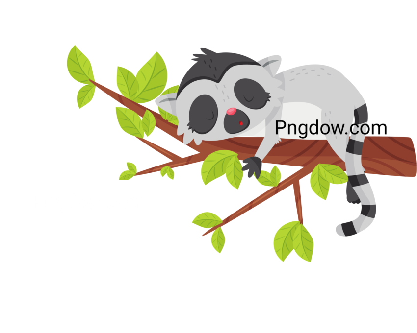 Adorable Lemur Sleeping on Tree Branch  Exotic Animal with Long Striped Tail  Flat Vector Icon
