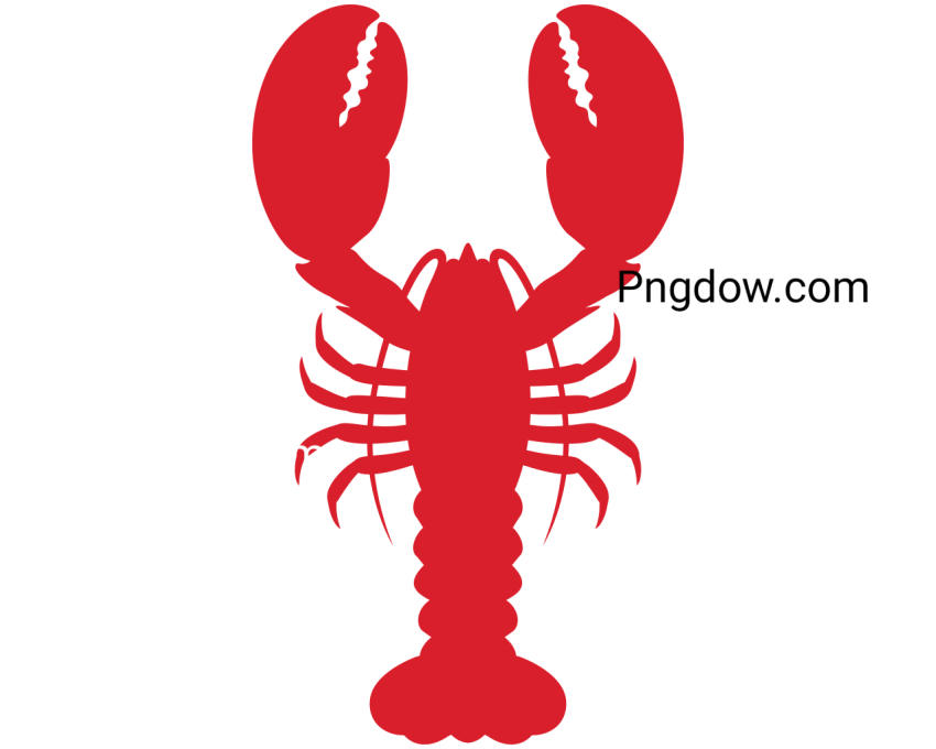Lobster Animal Illustration, transparent Background for free, (22)