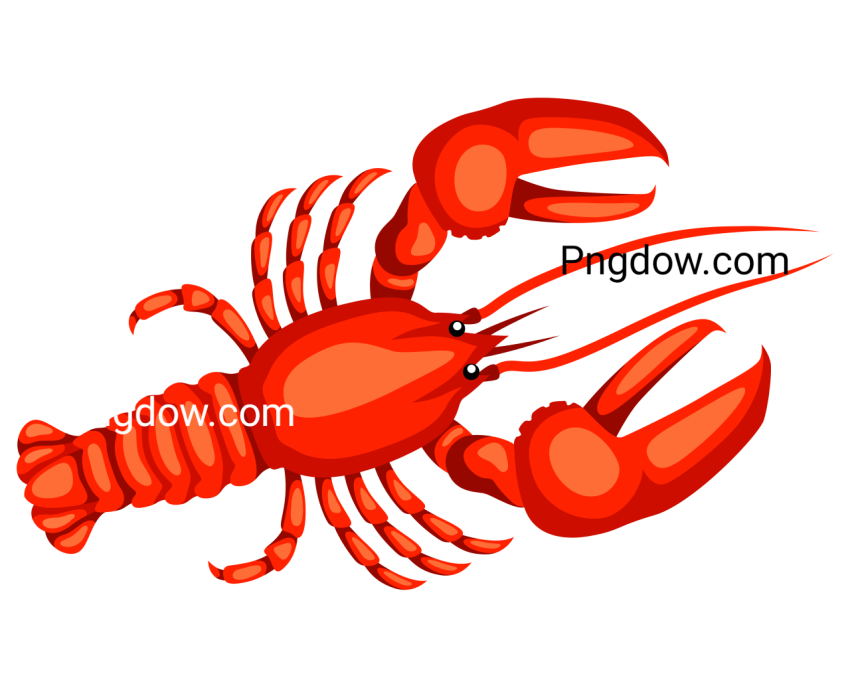 Lobster Animal Illustration, transparent Background for free, (12)