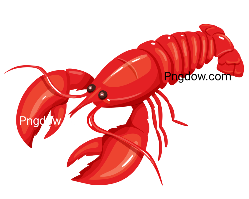 Lobster Animal Illustration, transparent Background for free, (20)