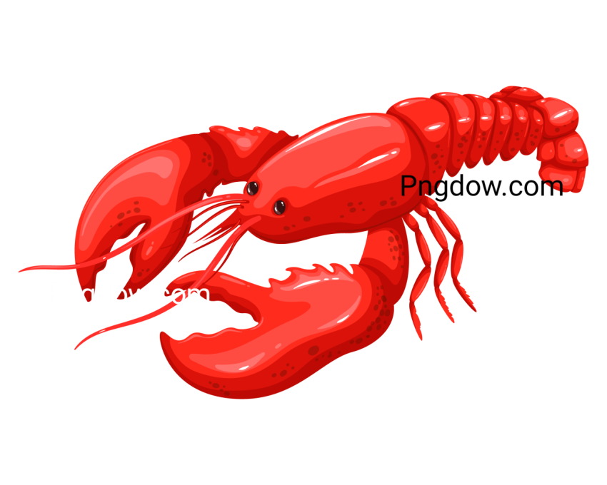 Lobster Animal Illustration, transparent Background for free, (10)