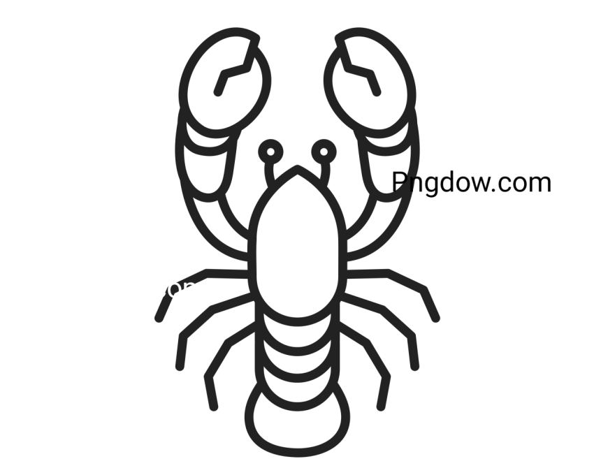 Sketch lobster, transparent Background for free, (1)