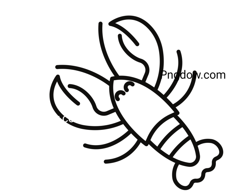 Sketch lobster, transparent Background for free, (7)
