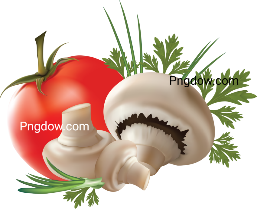 Free Mushroom PNG images