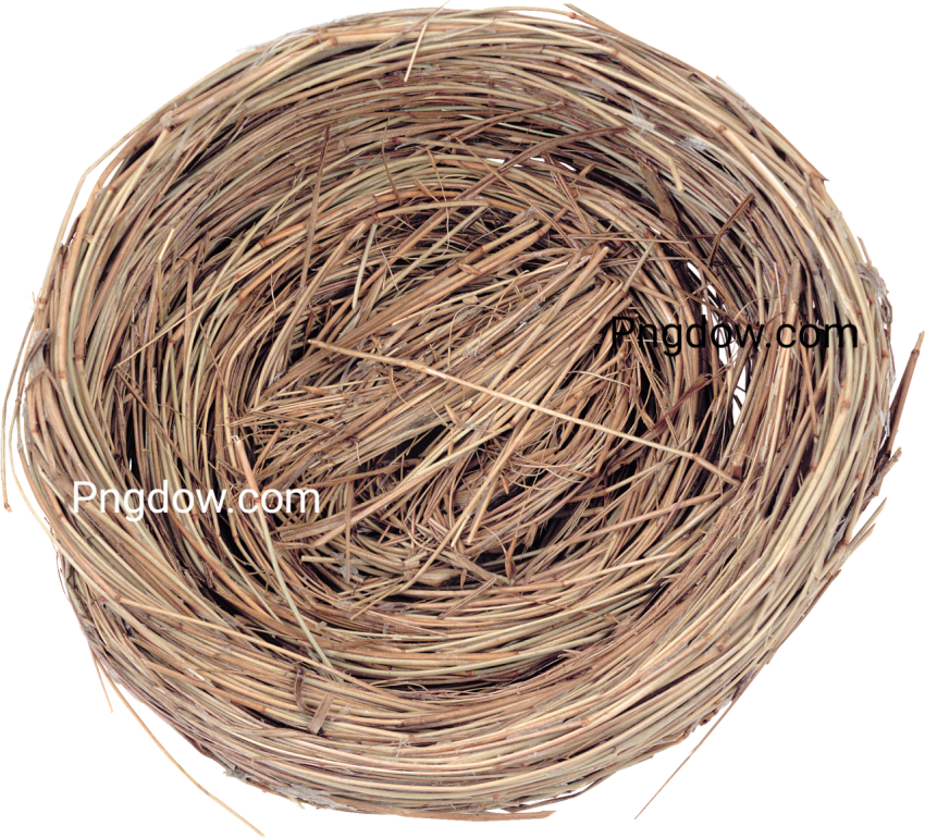 Nest PNG for free download