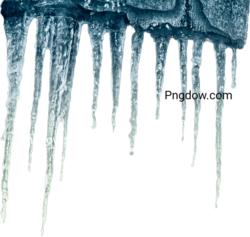 Free download Icicles flower images