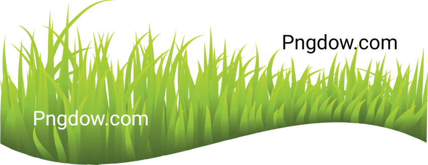 Grass PNG for commercial use