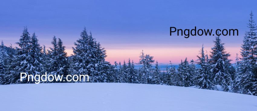 Winter Landscape for free Download