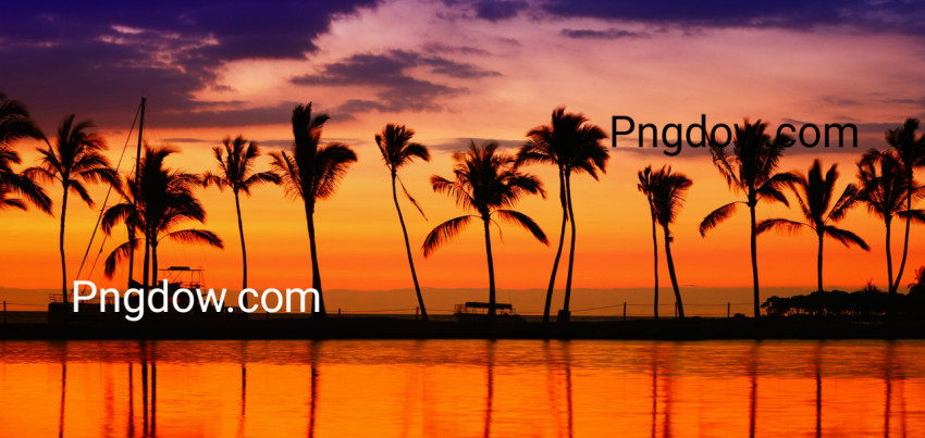 Travel Banner ,image for free Download