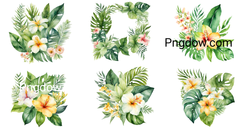 Watercolor of Tropical spring floral green leaves and flowers s isolated on Png transparent background, bouquets greeting or wedding card decoration