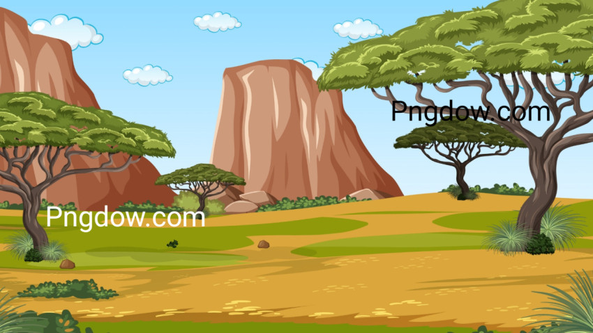 African forest landscape scene with many trees for Free