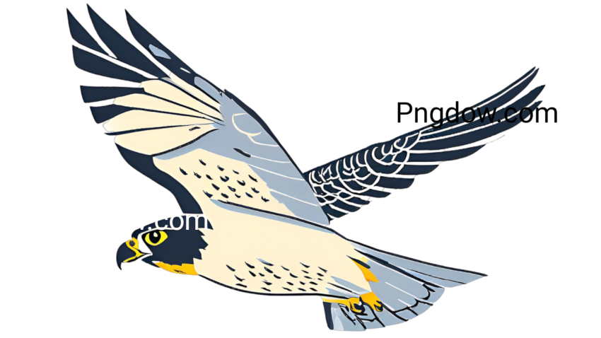 A Falcon PNG cartoon bird soaring through the sky