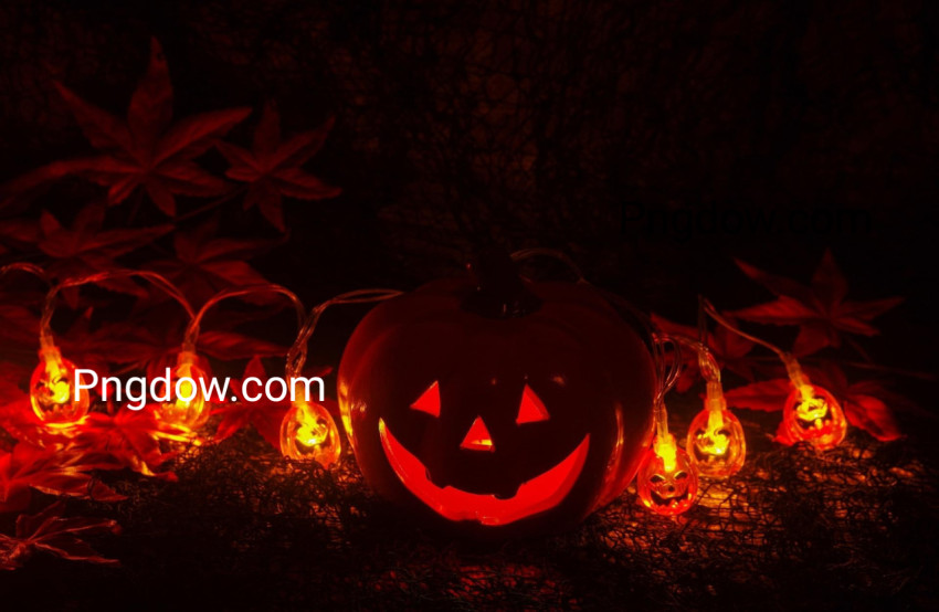 Halloween Jack O' Lanterns