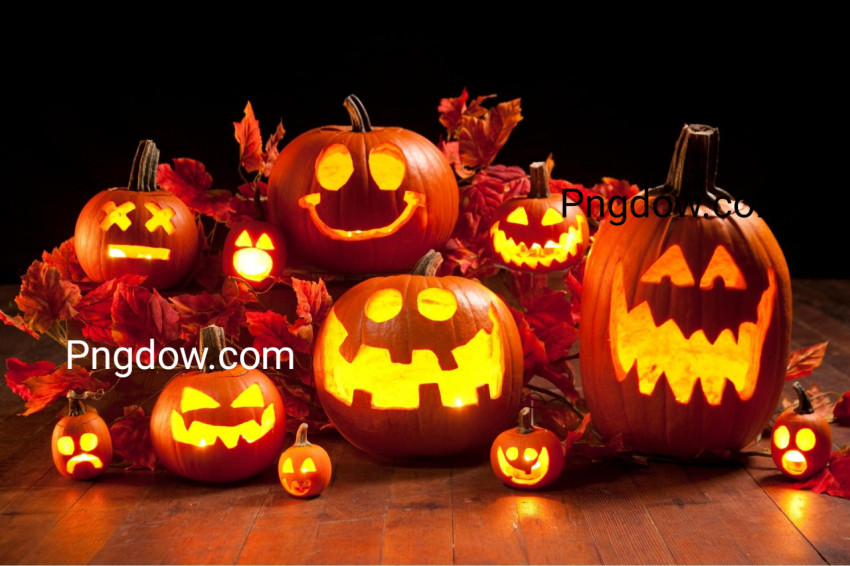 Halloween Jack o Lantern Pumpkins