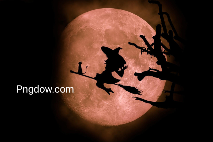Witch silhouette, Moon background,halloween