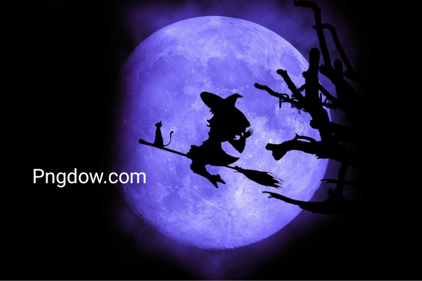 Witch silhouette, Moon background,halloween free