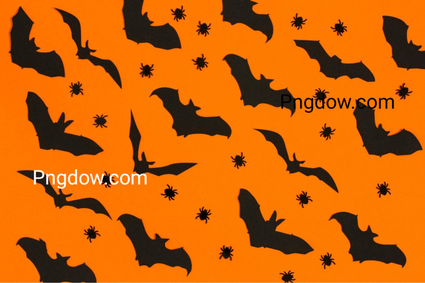 Halloween background high quality image