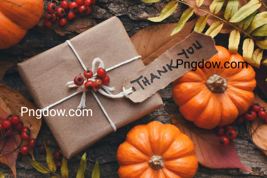 Thanksgiving background images for free