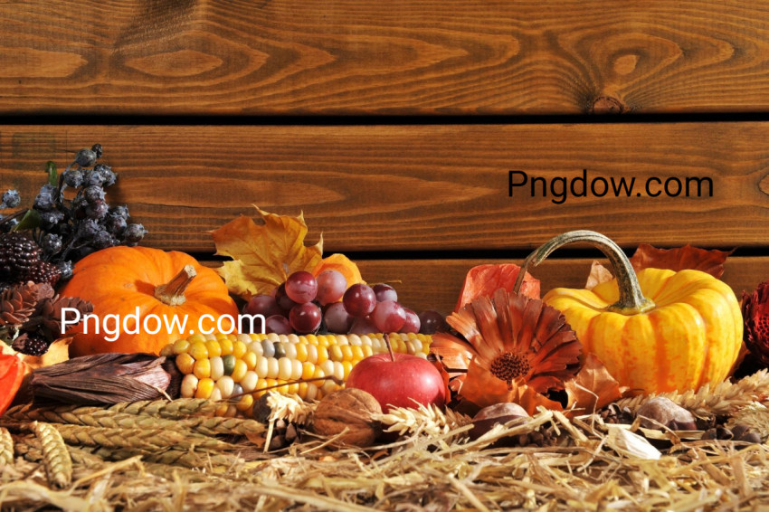 Thanksgiving background image free