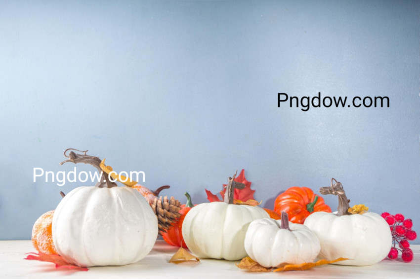 Thanksgiving Background with Pumpkins