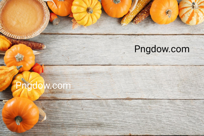 Thanksgiving background free download