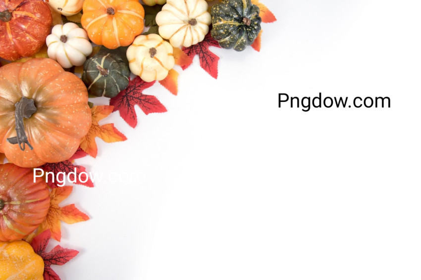 Thanksgiving Background, free download