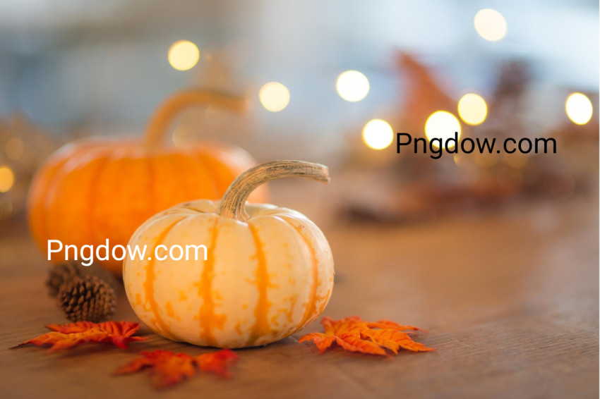 Thanksgiving themed backgrounds free