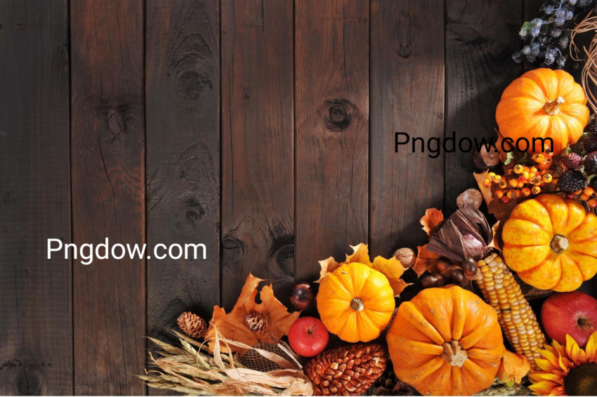 Thanksgiving images for free