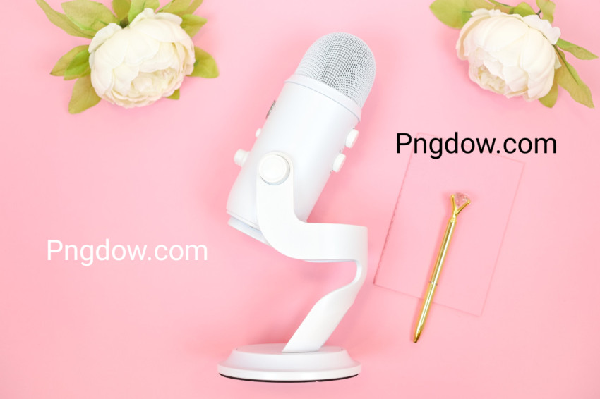 Microphone for Podcasting with Pen and Flowers on Pink Background