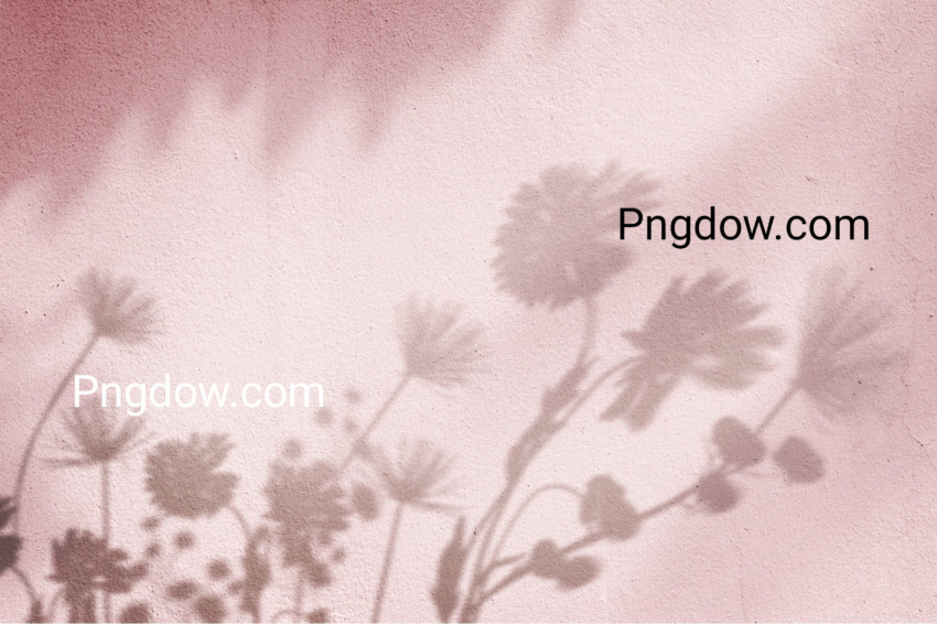 Pink background with floral field shadow