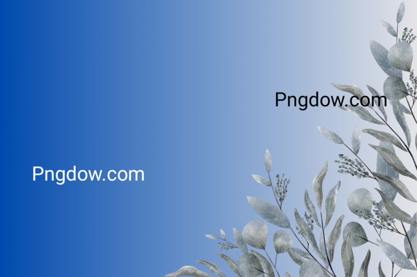 blue background flower download