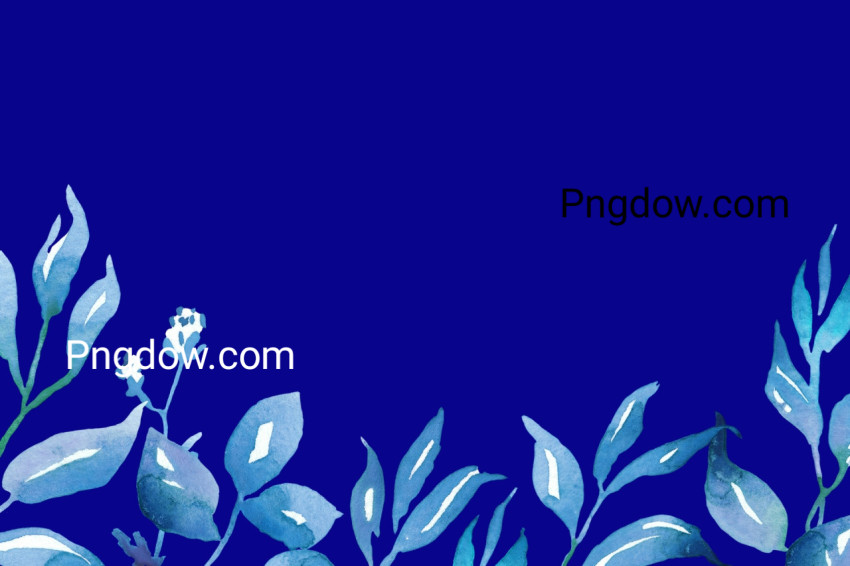 flower blue background for free