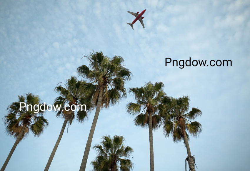 Download For Free, Air travel