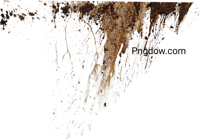 Mud PNG image with transparent background, edelweis