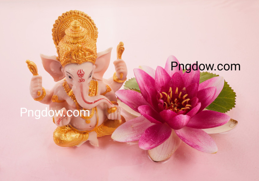 Lord Ganesha Sculpture in Pink Water with Waterlily  Ganesh Chaturthi Festival Background