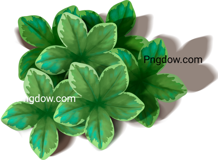 Download Free Green Leaf PNG Image   High Quality and Royalty Free