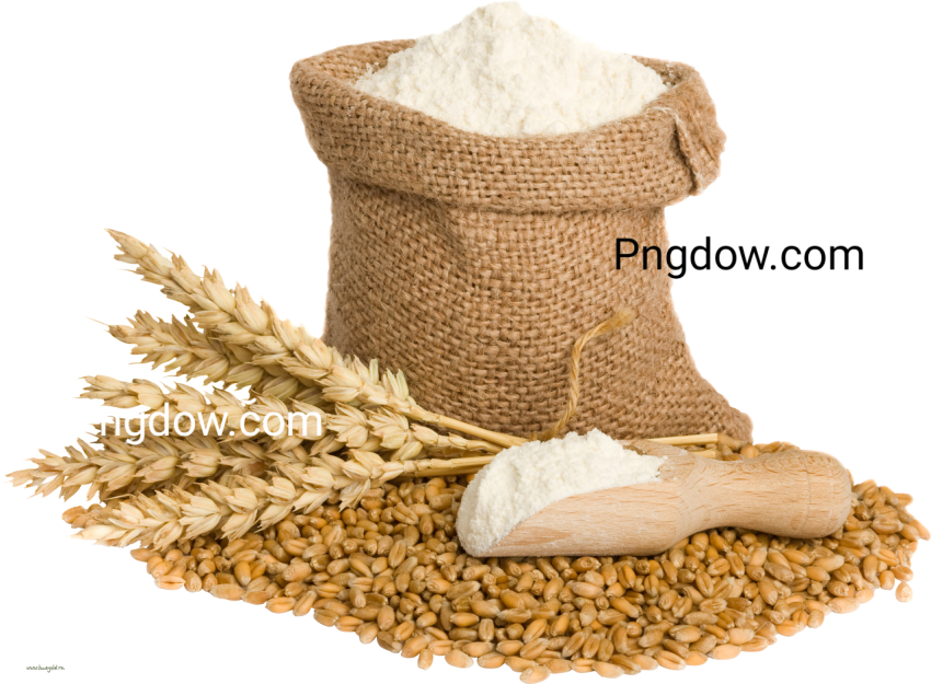 Wheat PNG transparent background