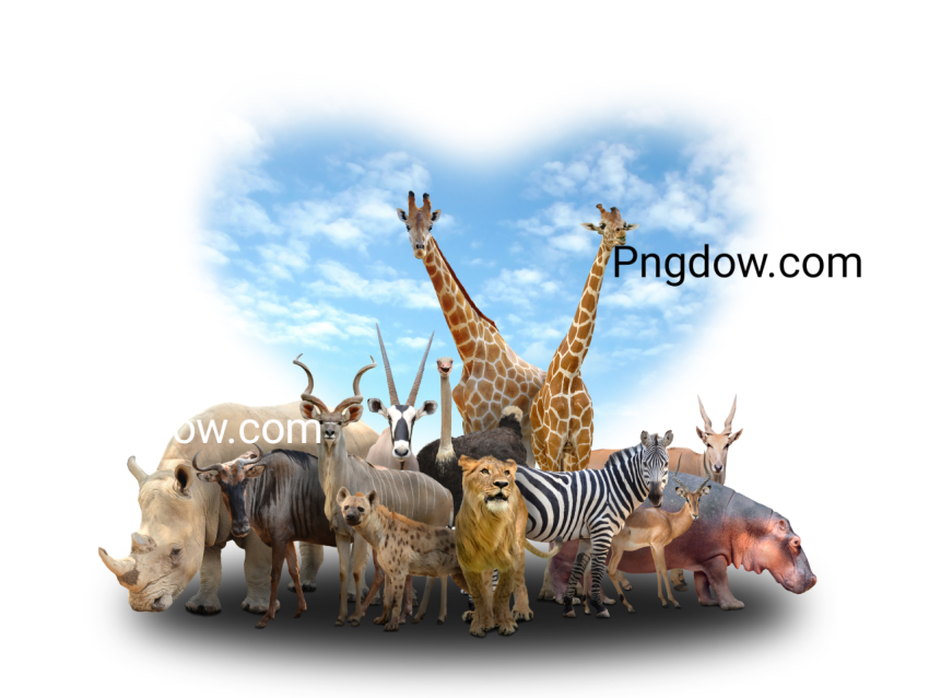 Group of africa animals images