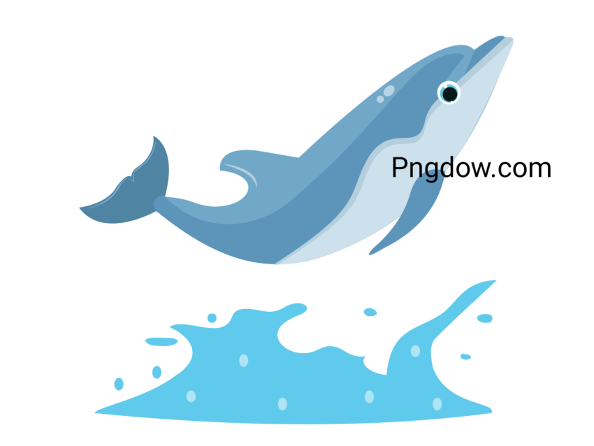 Dolphin Png image with transparent background for free, Dolphin, (13)