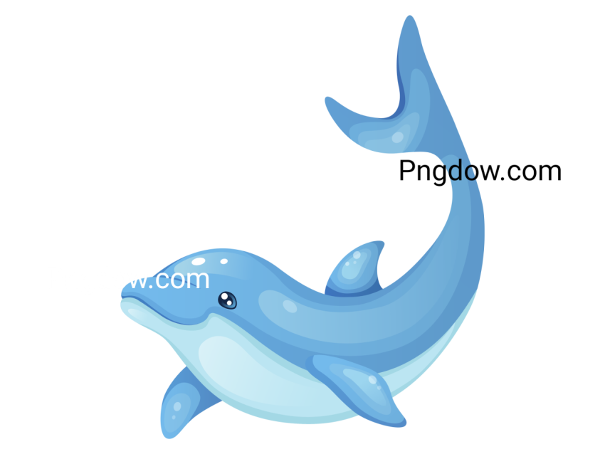 Dolphin Png image with transparent background for free, Dolphin, (21)
